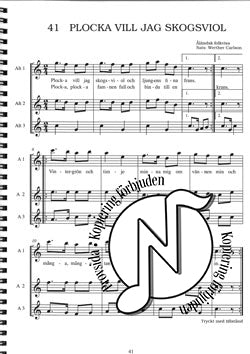 ALTBLOCKFLÖJT: Skolan för dig som redan kan lite sopran