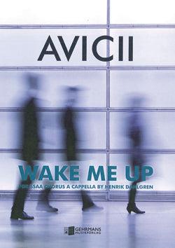 Avicii: Wake Me Up (SSAA)