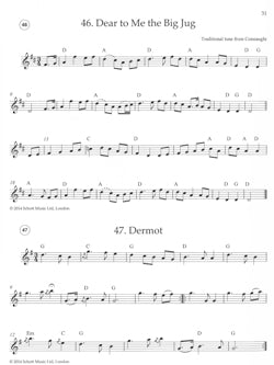 Irish Folk Tunes For Recorder