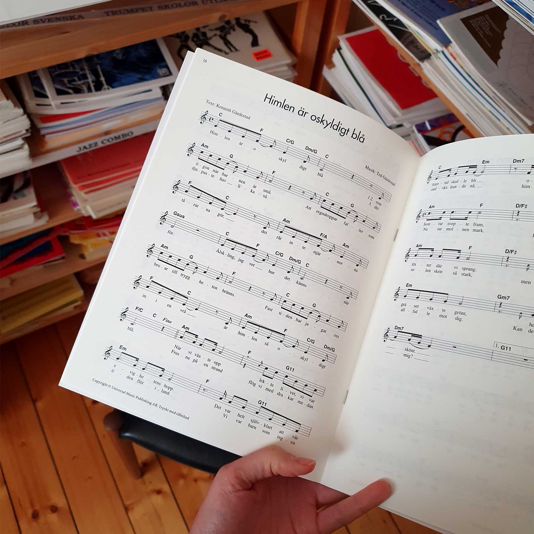 Ted Gärdestad i fokus