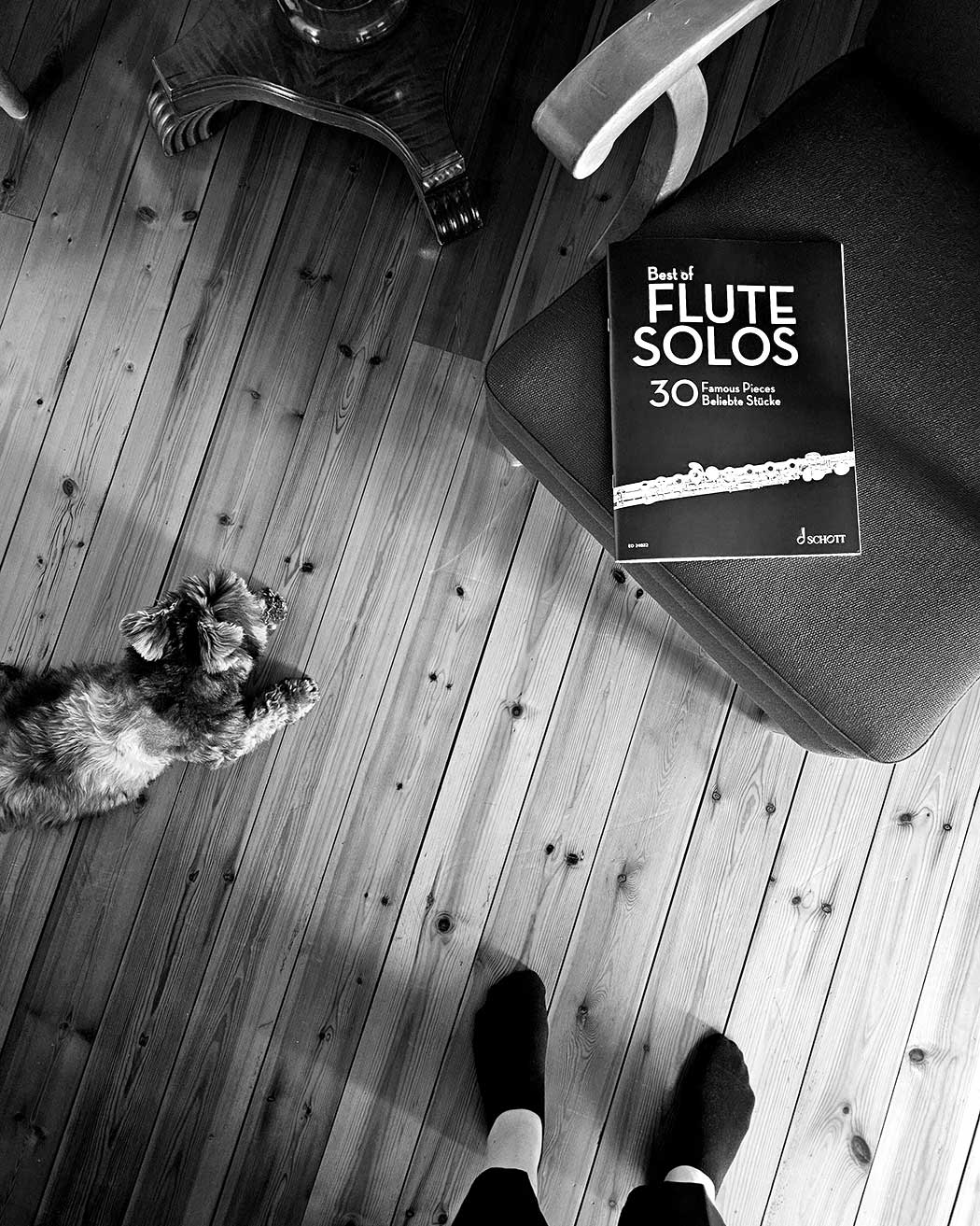 Best of Flute Solos: 30 Famous Pieces