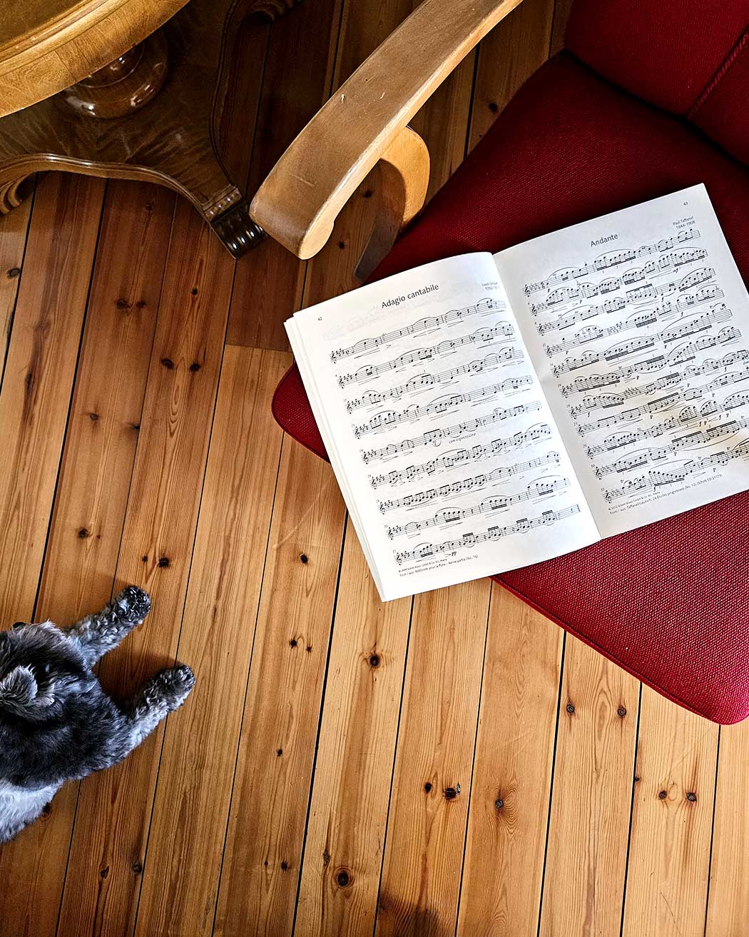 Best of Flute Solos: 30 Famous Pieces