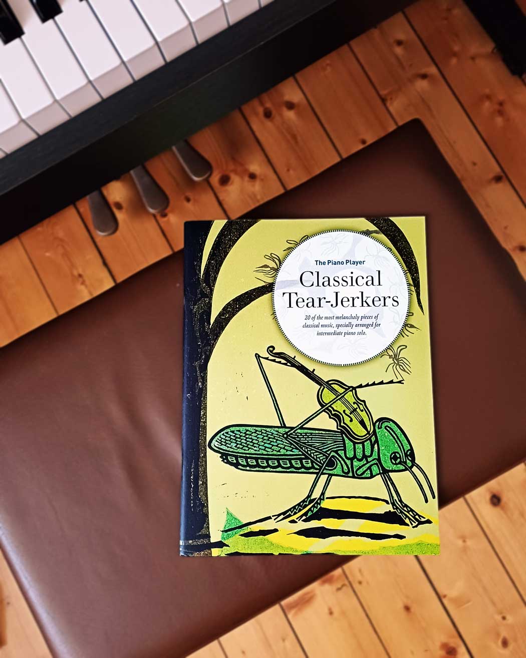 The Piano Player: Classical Tear-Jerkers