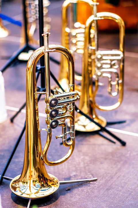 Övriga bleckblåsinstrument