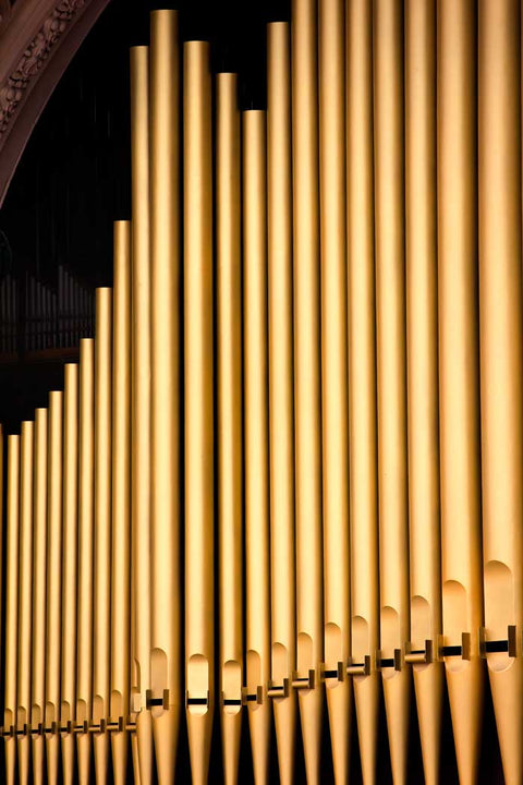 Orgel