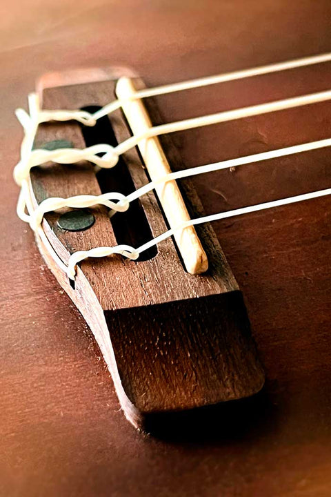 Ukulele