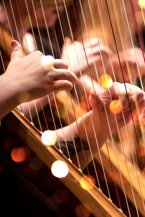 Övriga stränginstrument