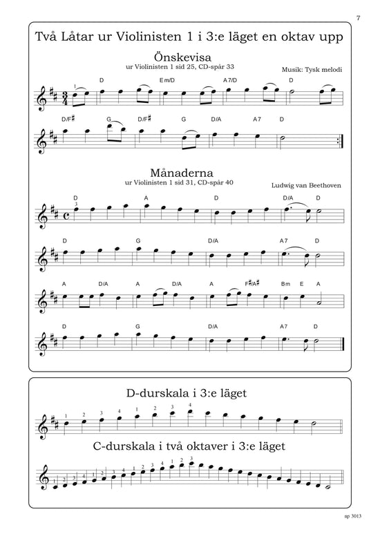 Violinisten 3