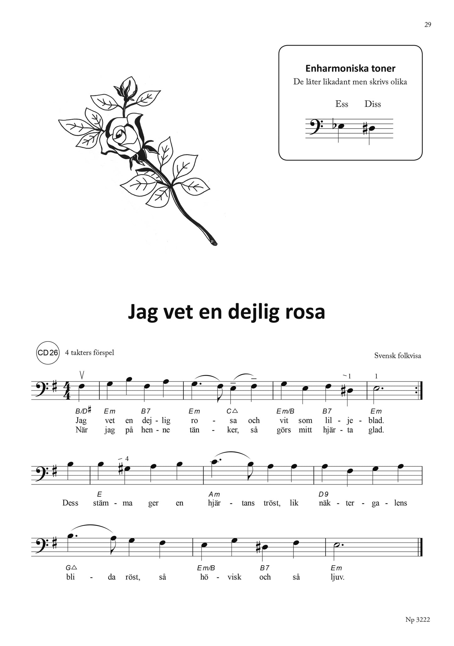 Cellisten 2