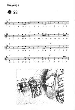 Bluesmunspel: En introduktion till att spela blues