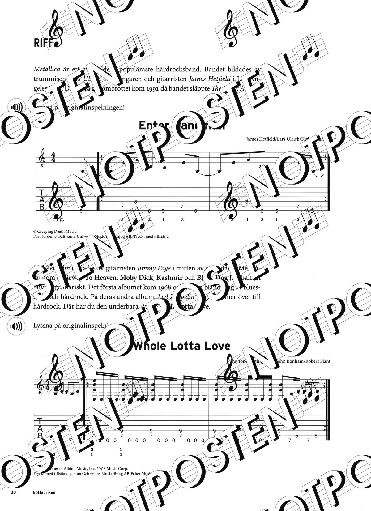 Rockgitarristen