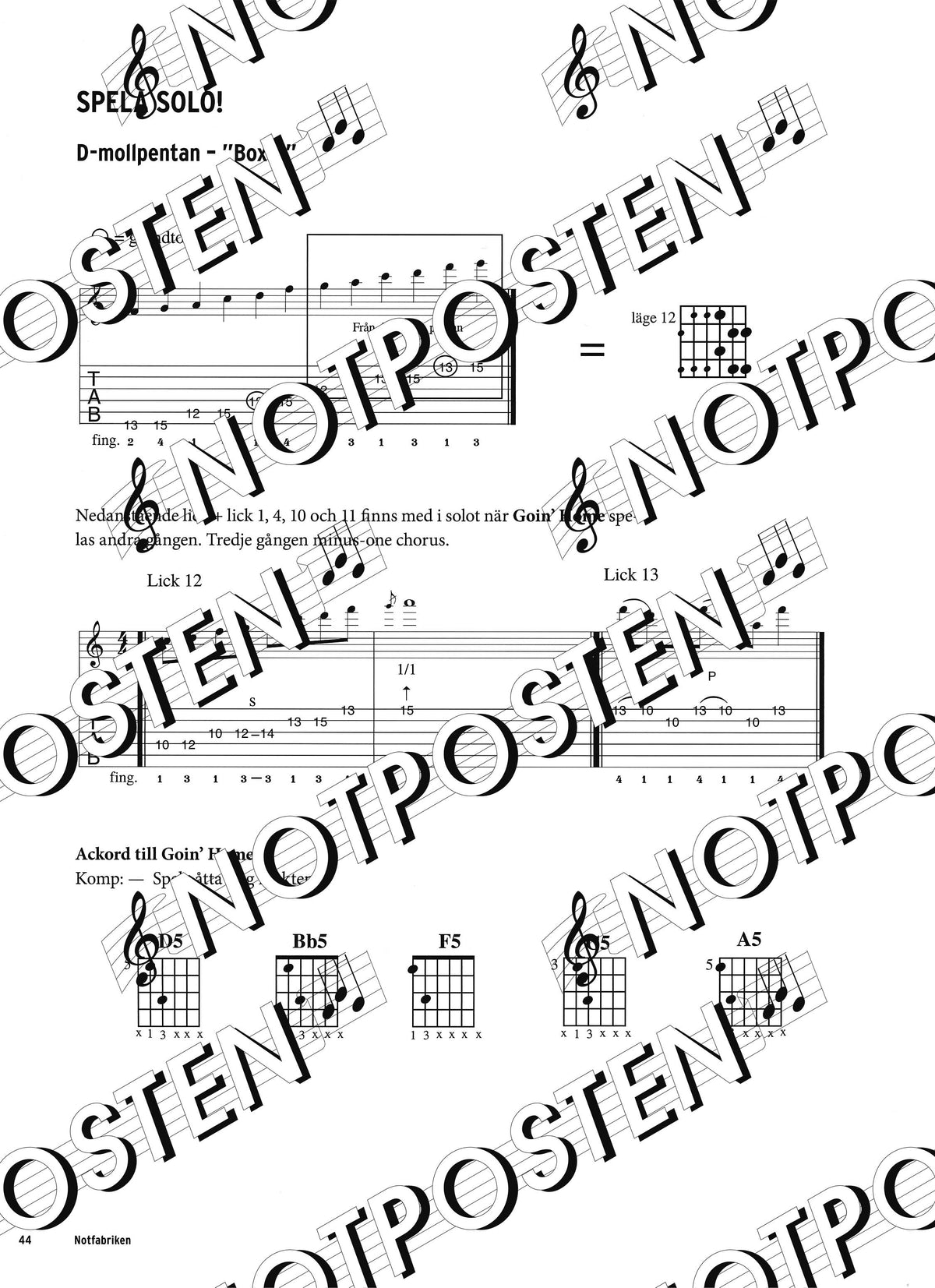 Rockgitarristen