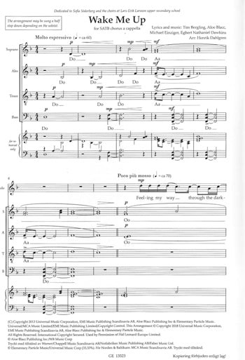 Avicii: Wake Me Up (SATB)