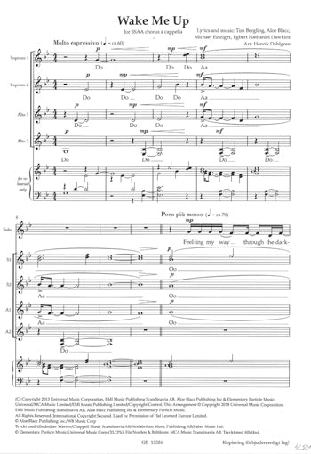 Avicii: Wake Me Up (SSAA)