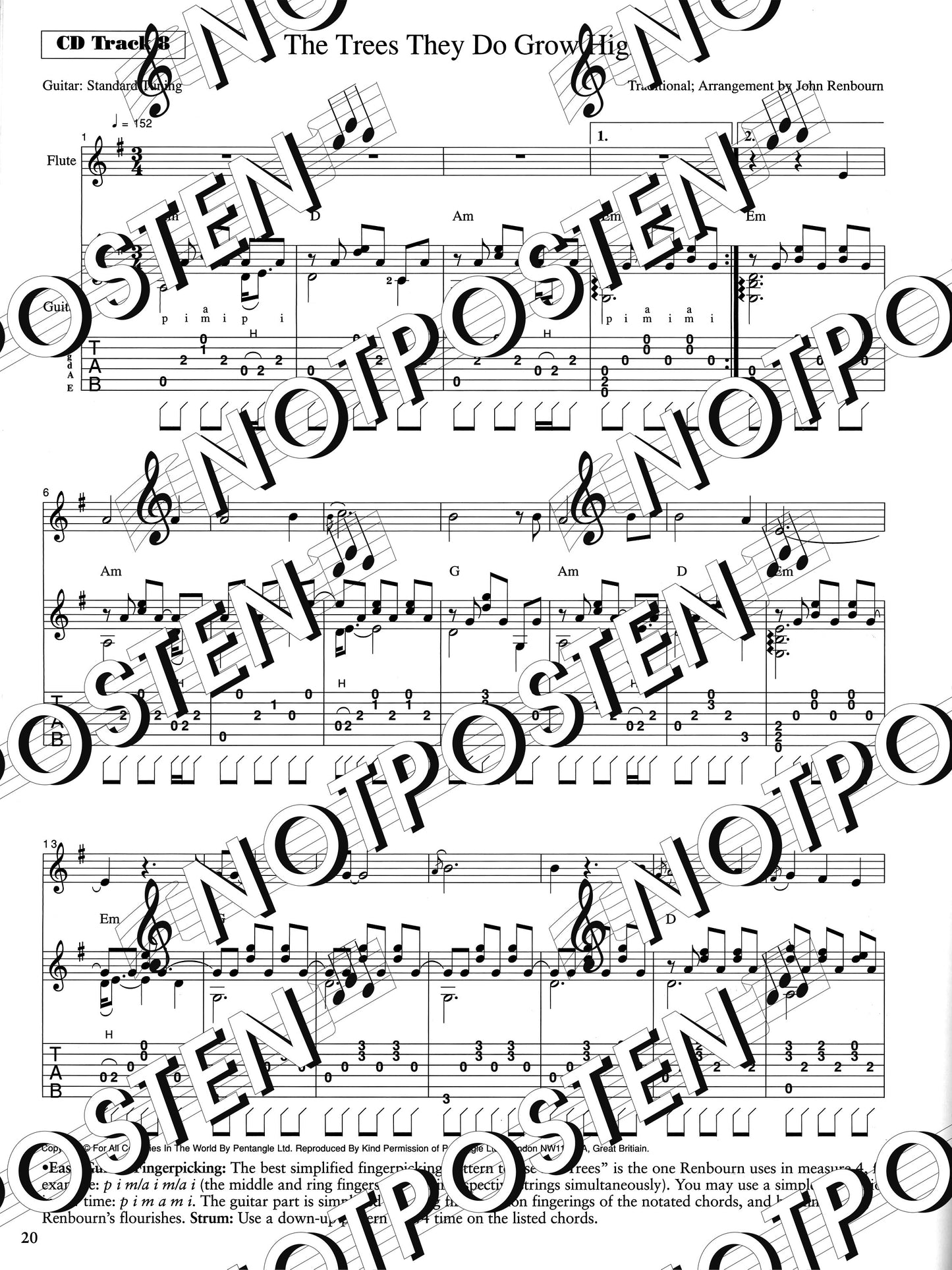 Flute & Guitar: Duets for any Occasion