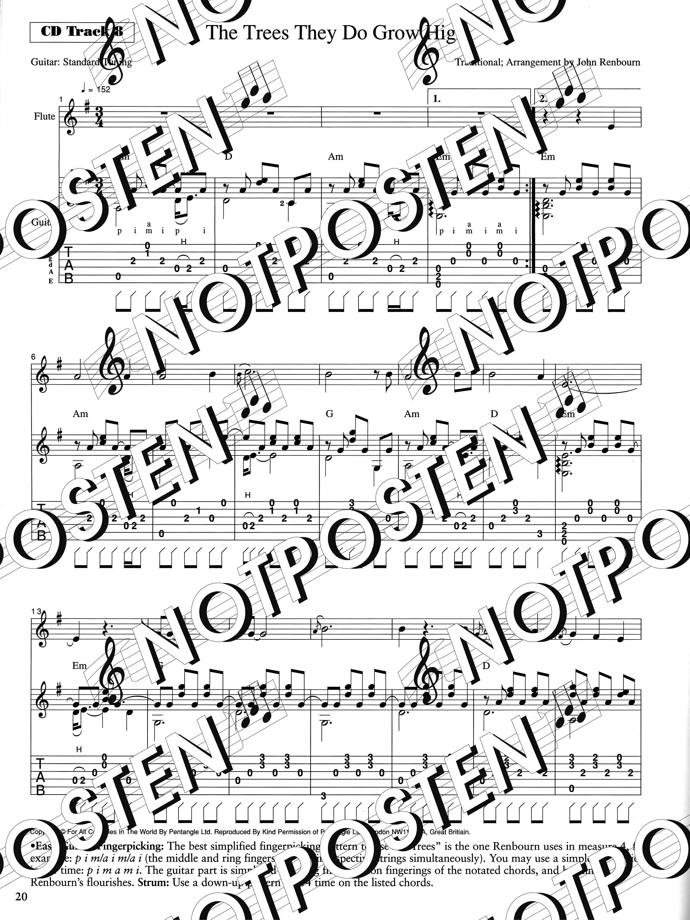 Flute & Guitar: Duets for any Occasion