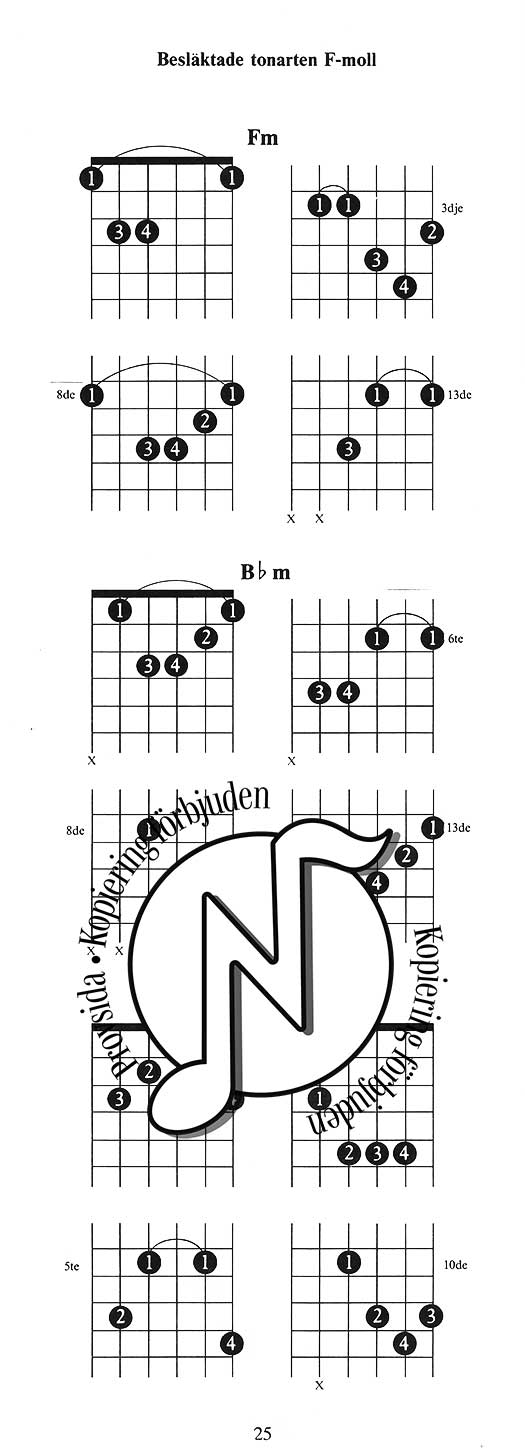 Rock'n'Roll: Ackordboken för Rockgitarr