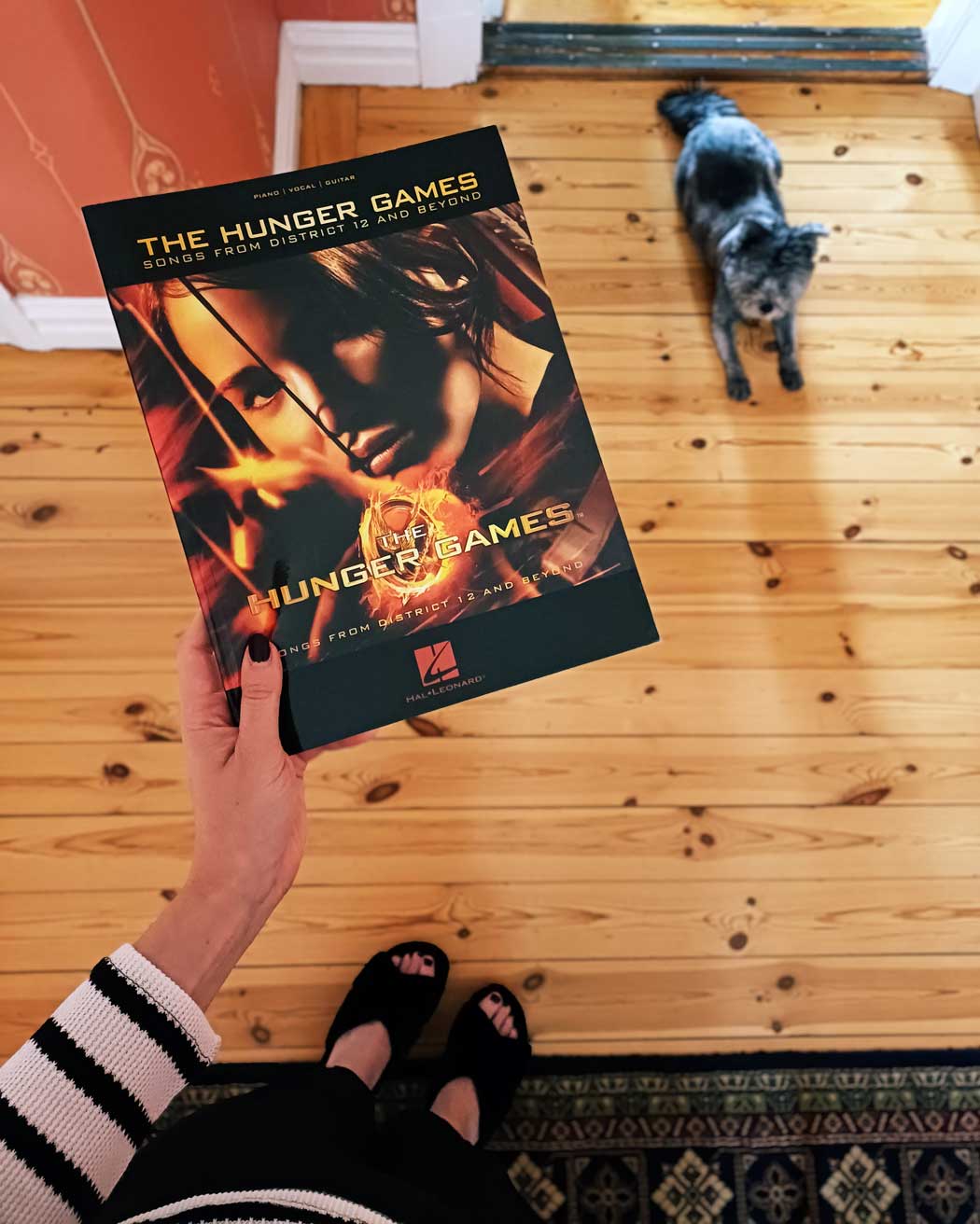 The Hunger Games: Songs From District 12 And Beyond