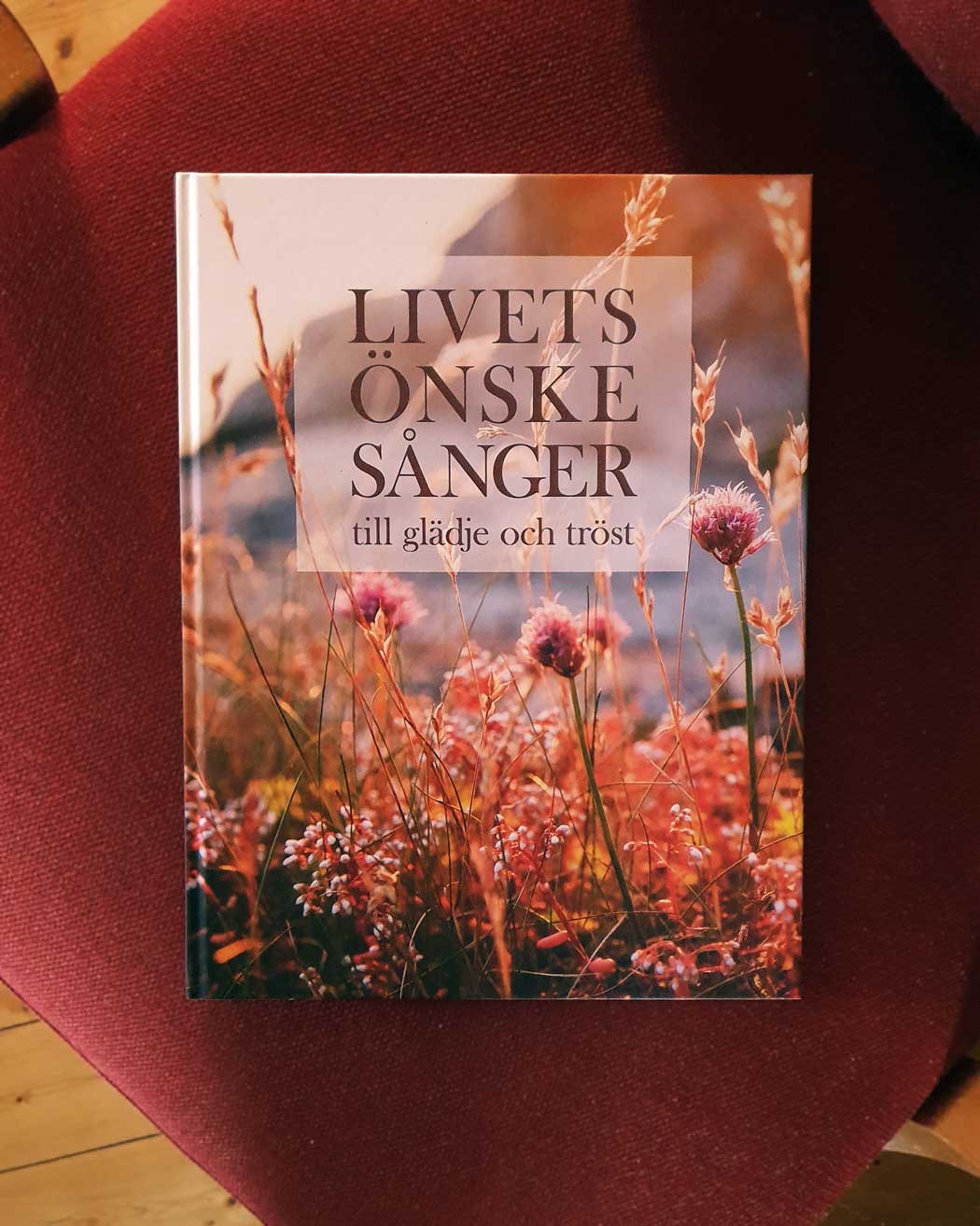 Livets önskesånger: till glädje och tröst
