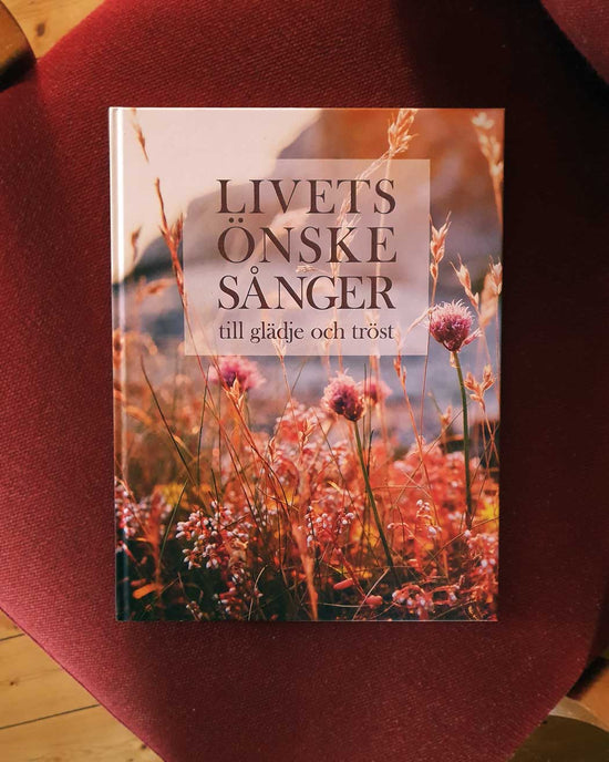 Livets önskesånger: till glädje och tröst