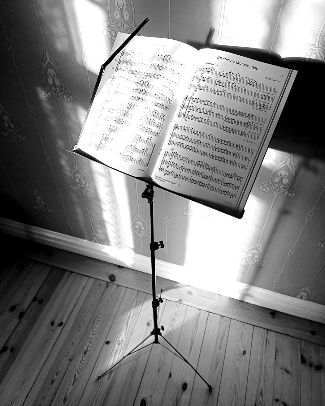 Notställ svart med väska