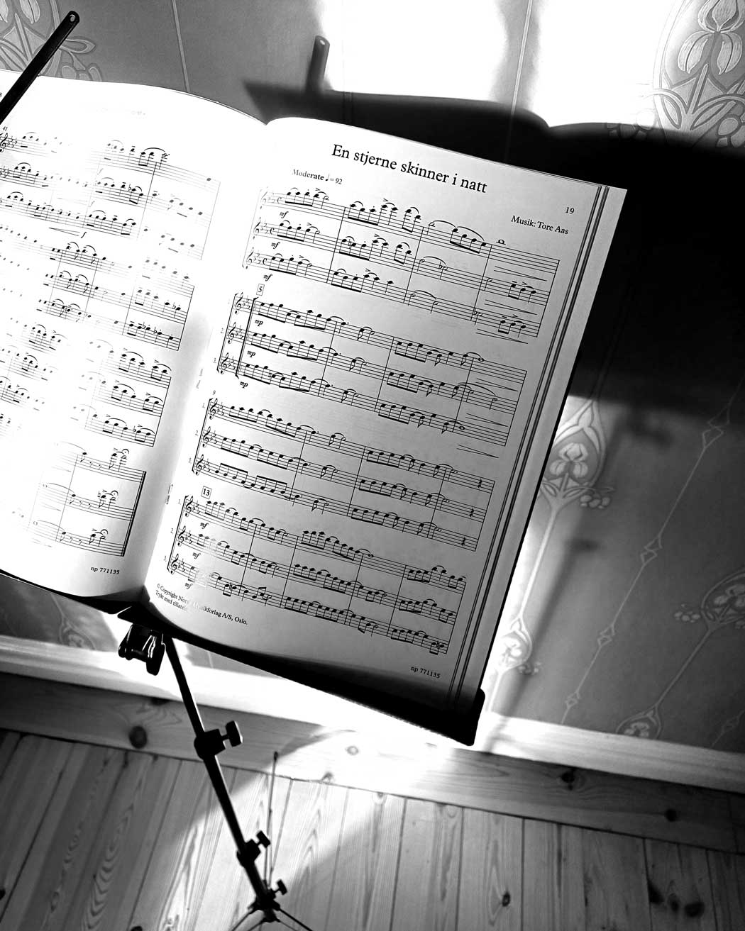 Notställ svart med väska