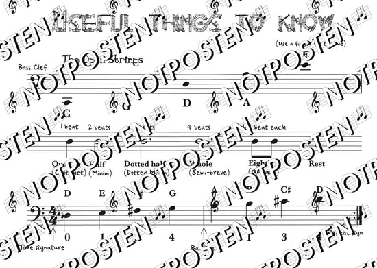 Vamoosh Cello Book 1